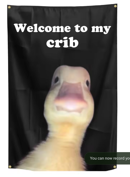 Welcome To My Crib | Funny Wall Flag - 2ft x 3ft